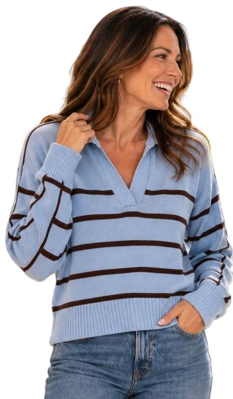 WISPR Links Polo Sweater - Blue/Brown