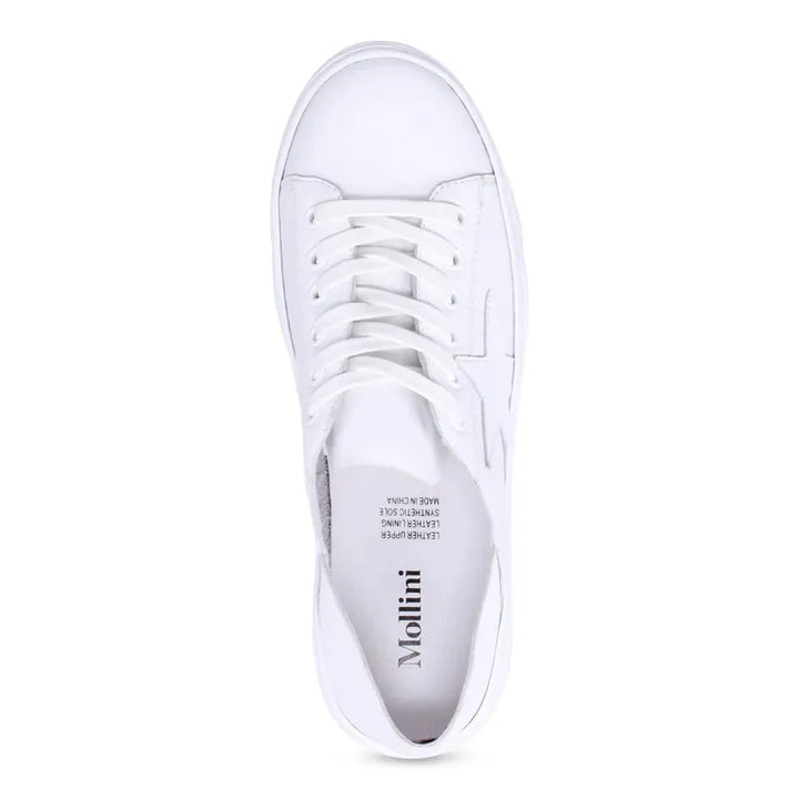 Mollini Oholiday Sneaker - White/White